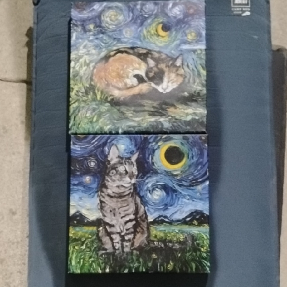 Starry Night Cat Canvas Art Set